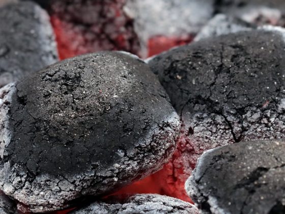 Best Charcoal Briquettes